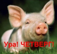 Четверг ориентирования на Мясокомбинате Четверг ориентирования на Мясокомбинате